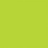 Painter’s Touch 2X Gloss Key Lime