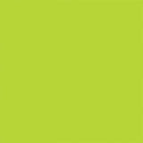Painter’s Touch 2X Gloss Key Lime