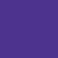 Painter’s Touch 2X Gloss Grape