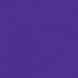 Painter’s Touch 2X Gloss Grape