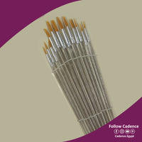 Set of 12 brushes - Plastic Handle