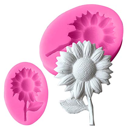 Silicone Molds