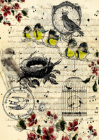 Rice Paper - A3  CODE : 147