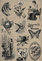 Rice Paper - A3 CODE : 212