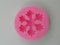 Silicon Mold