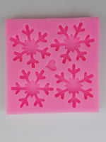 Silicon Mold