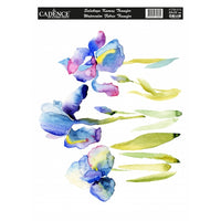 Watercolor Fabric Transfer - KTSB 015