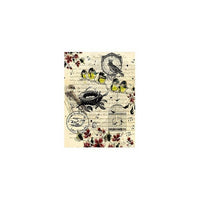 Rice Paper - A4  CODE : 147