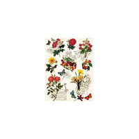 RICE PAPER A3  CODE : 41