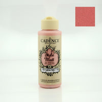 STYLE MATT Paint -  Flamingo pink - 120 ml